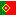 Portugiesisch konjugieren